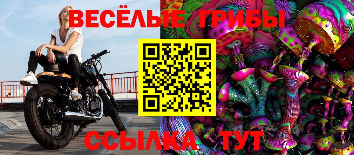 Псилоцибиновые грибы GOLDEN TEACHER Татарск