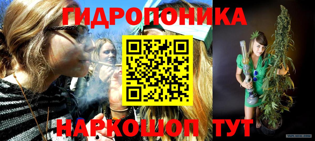 Конопля план  Вход с VPN  МАРИХУАНА White Widow  Татарск 